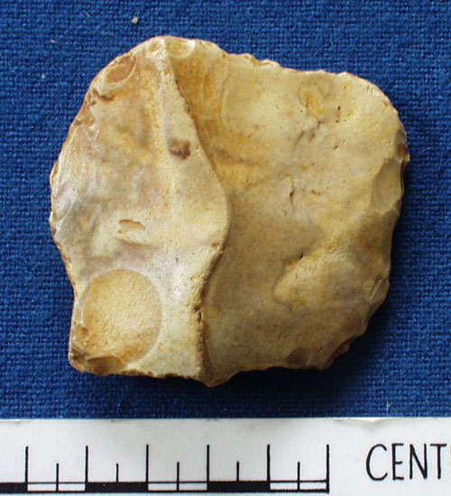 Flint fragment (AN1959.35)