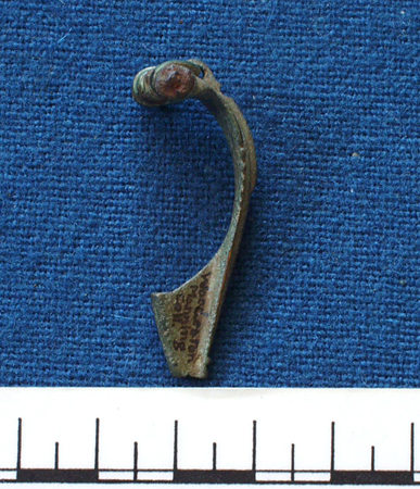 1921-120-fibula-side-view-woodeaton