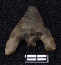 Barbed and Tanged Arrowhead from Astall (AN1921.52)