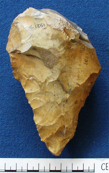 Handaxe (AN1921.9)