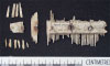 Bone comb (AN1886.1430)