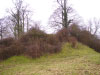 Swerford Castle Ditch